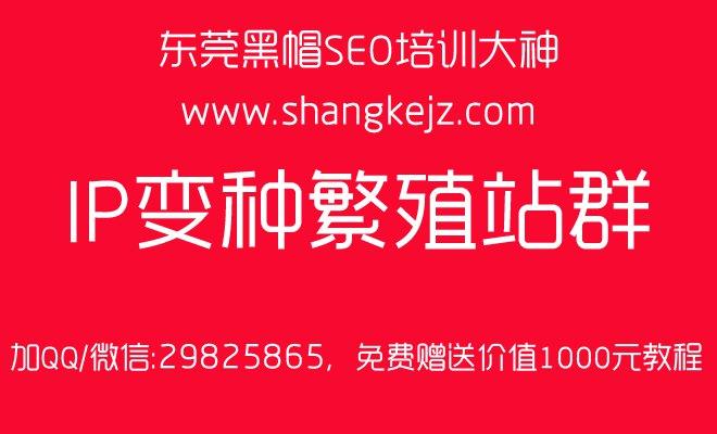 广西生活网,好看的seo - 湛江黑白帽seo技术培训-湛江网站优化排名