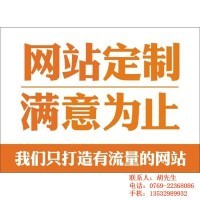 湛江网站建设,品尚网络,网站建设方案