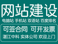 湛江网站优化公司SE0优化